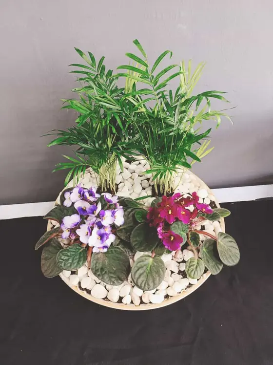 Centro de mesa de violetas y palmeras para una celebración, Bon Menjar